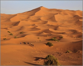 Morocco Tour from Casablanca, 9 days Casablanca culture and desert tour