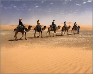 Culture Tour from Casablanca,private 12 days Casablanca tour to Sahara desert