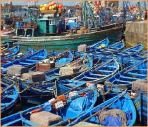 private day excursion from Marrakech to Essaouira,Marrakech day trip to Atlantic coast