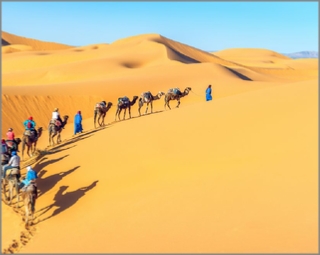 adventure Merzouga camel ride,Erg Chebbi camel excursion to camp adventure Merzouga camel ride,Erg Chebbi camel excursion to camp
