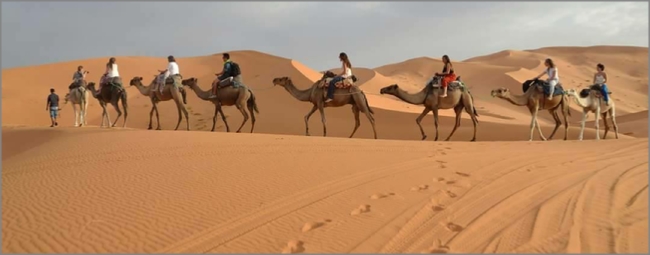 adventure Merzouga camel ride,Erg Chebbi camel excursion to camp