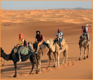 private tours from Fes to Merzouga desert,Fes to Marrakech 4x4 trips